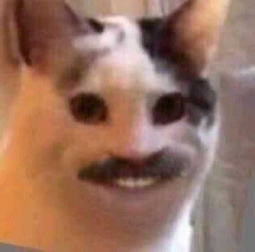 EnY83TFXcAEczLM.jpg
