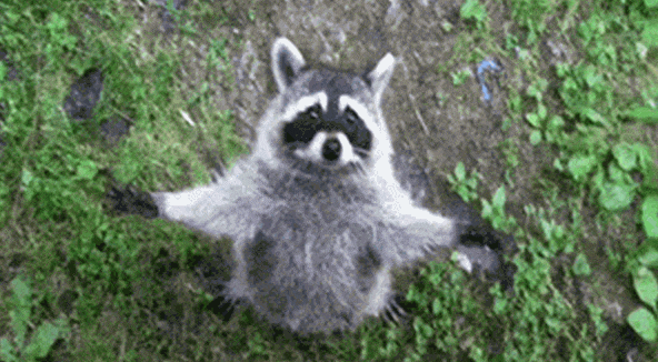 I8uN (1).gif