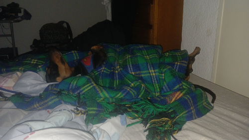 IMG-20250218-WA0009.jpeg