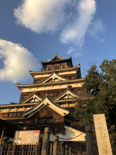 IMG_0528.jpeg