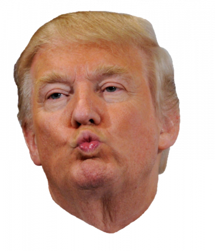 donald-trump-united-states-internet-meme-birthday-donald-trump-07fba5fbbdc6a5d5bd6eda7866d5950c.png