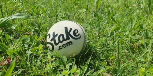 stakecom.thumb.jpg.b0bcd25f4dc399337113c0aacdb299c0.jpg