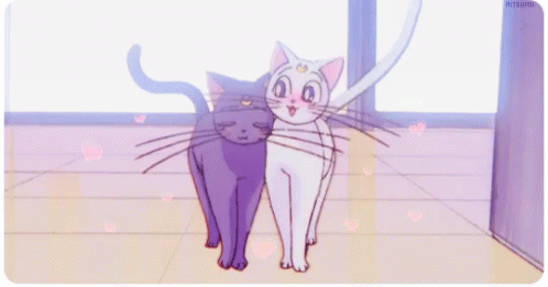 1aae867371deb067afe37b38efa8b496.gif.42c53302da783a72c7f590c8353a7476.gif