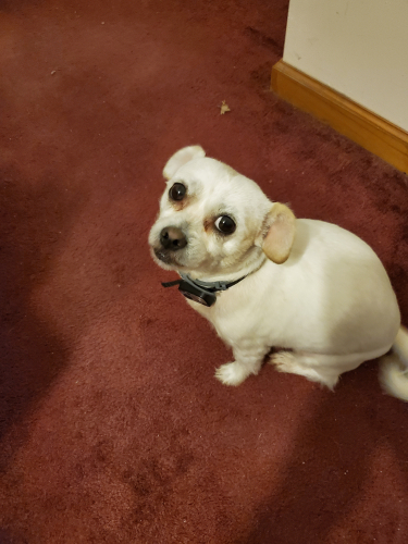 20200911_142607.jpg