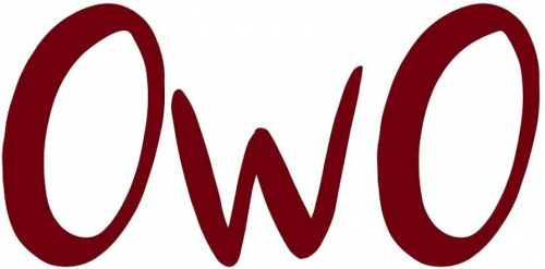 51WjZYOJMWL._AC_UF894,1000_QL80_.jpg