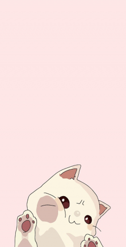 Cute Cat Wallpaper.jpeg