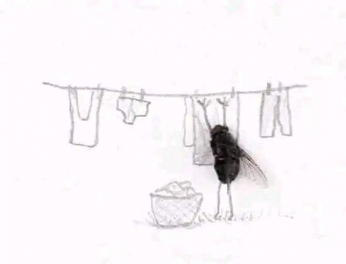 FB_IMG_1729506181340.jpg