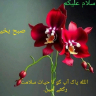 Zimalkhan