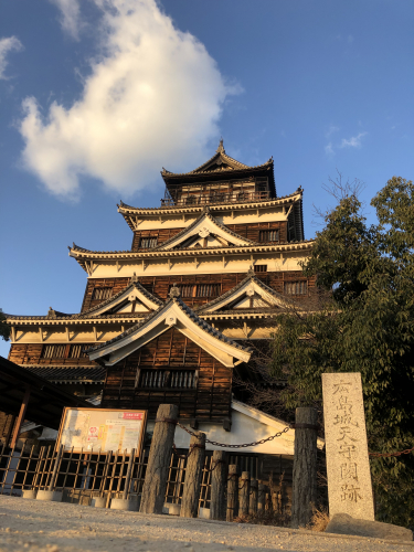 IMG_0530.jpeg