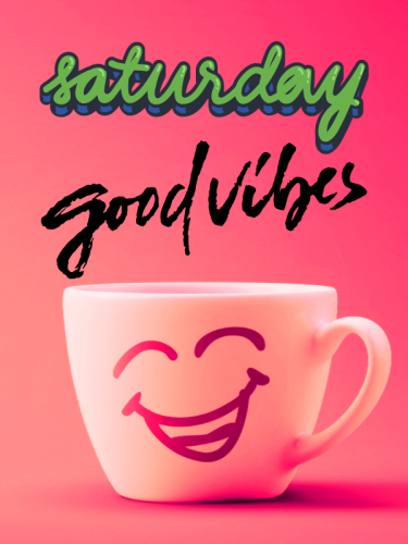 IMG_1463.png