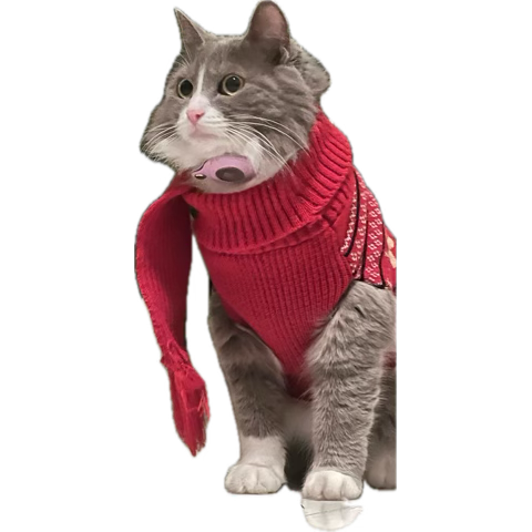 image.png.201acfe49e11002fe3f282619b6a635d.png