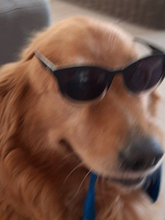 image.png.9bbd117ad656aa0079482f30e7d5ed2d.png