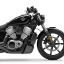 Harley36