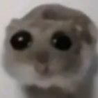Valpxker
