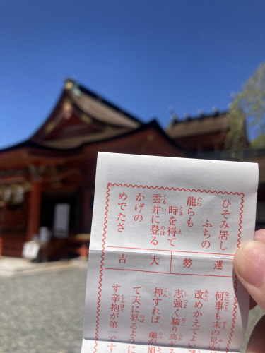 IMG_8519.jpeg