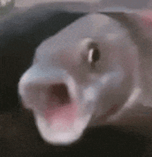 image.png.376f8449b6d5af4cd1231f9e1ce9d451.png