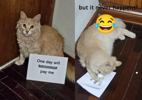 image.png.46860f2981b37baf6908df5c0532274c.png