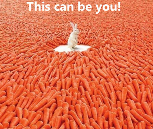 image.thumb.png.89d17b162fbf8716e2b8072a5218e9f0.png