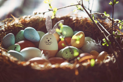 istockphoto-1136835405-612x612.thumb.jpg.723703aff869c078afcb5a8fe8c23262.jpg