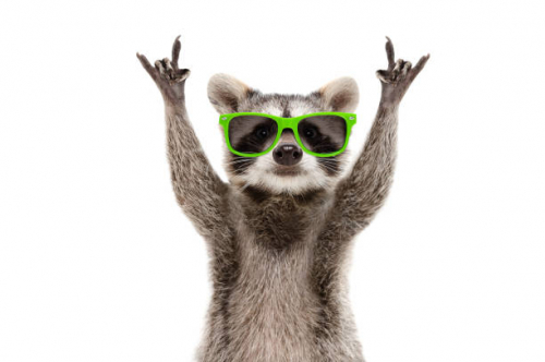 istockphoto-1154370446-612x612.thumb.jpg.8a88c49b32287a0580fa691235ec0719.jpg