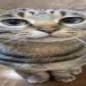 HITbig