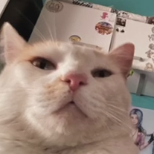 Facap