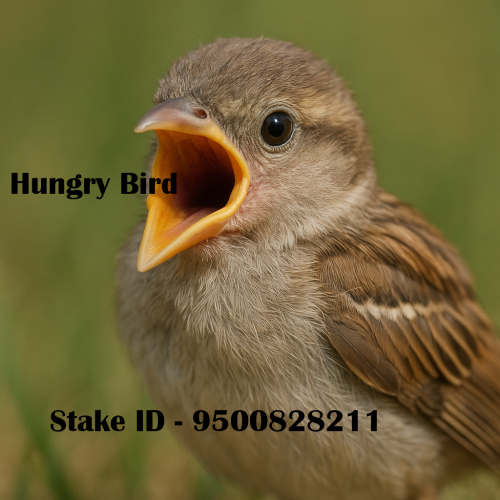 ChatGPTImageMay24202505_45_58PM.thumb.png.72d356dd7d25d5f4313a36c962cb9bad.png