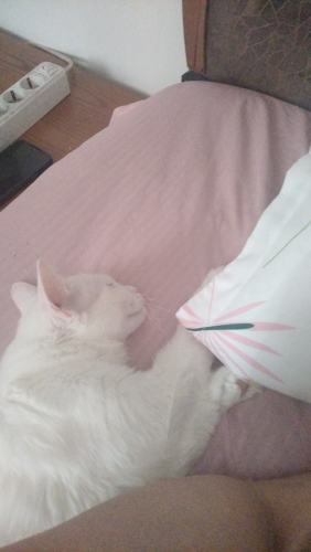 IMG-20250502-WA0005.jpeg
