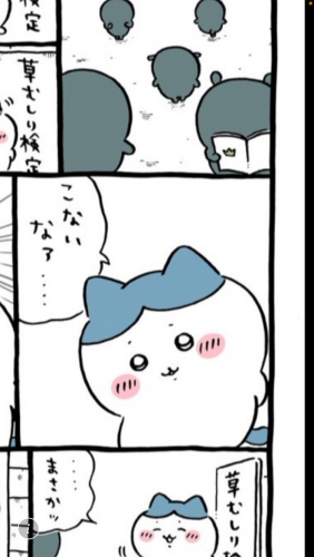 IMG_1067.png