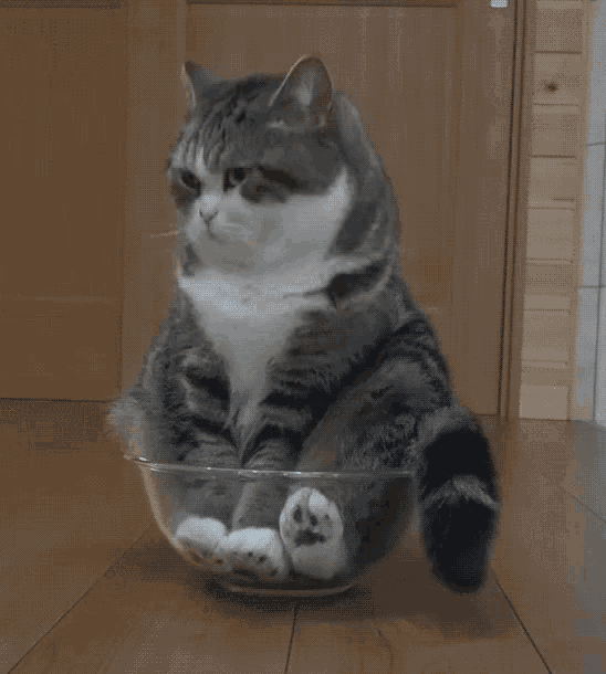 bored-your-brain-cells-are-not-functioning.gif