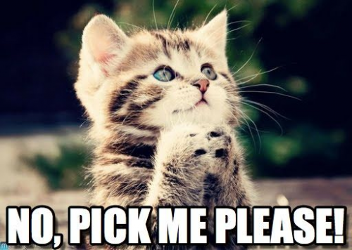 image.thumb.png.9cb328aed7fd1fbfdbfeadcbb256a388.png