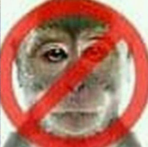 image.thumb.png.d3b1101fe5938e9d36392f1d240d1d55.png