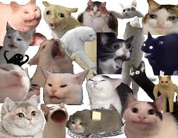 images(4).jpeg.7bd345bfdabaca21c69dcb47a4344830.jpeg