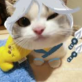 loid1337