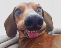 17492981991834513914481170817556.jpg.d5c774d2b3c580bf7c1966d6ae5efa2d.jpg