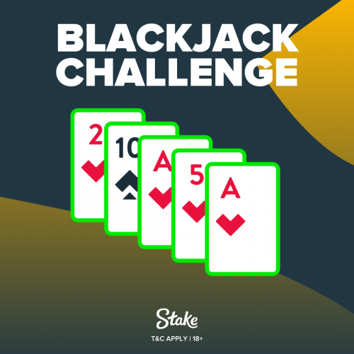 Blackjack Challenge - Sanity (1).png