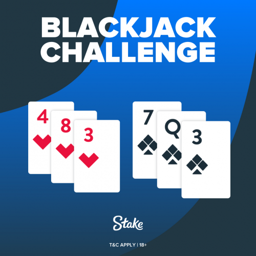 Blackjack Challenge 1 (1).png
