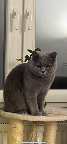 IMG_7826.png