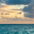 kevinyu2269