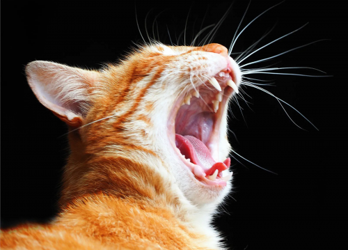 image.thumb.png.b410f550fd01b83dcb1f15cfb376635b.png