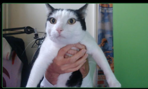rocky.png