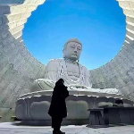 胜天半子zz