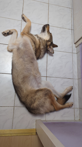 IMG-20250705-WA0005.jpeg