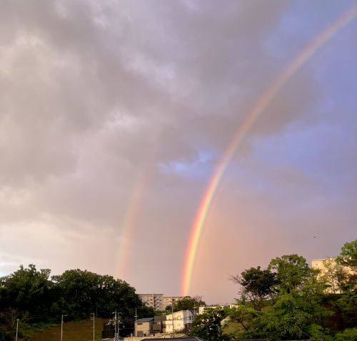 IMG_0201.jpeg