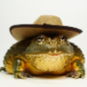 slotfrog