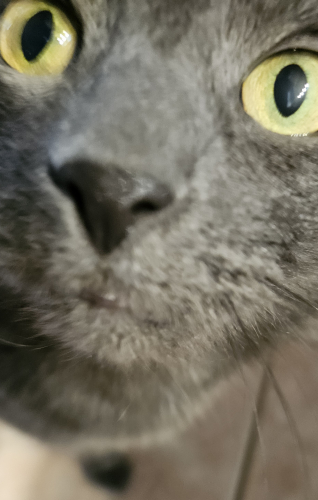 20250701_131238.jpg