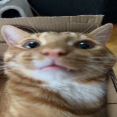 Olemad
