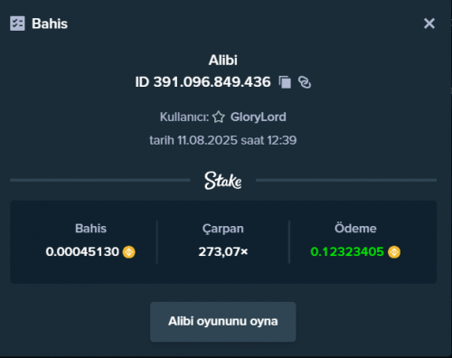 Ekran görüntüsü 2025-08-11 124012.png