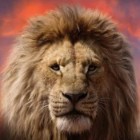 mufasa3131