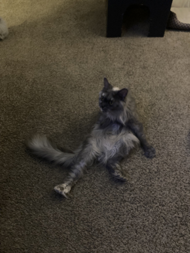 IMG_6754.jpeg
